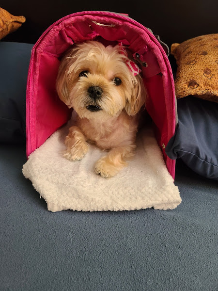 Parkway Animal Hospital: Bartley Scott DVM