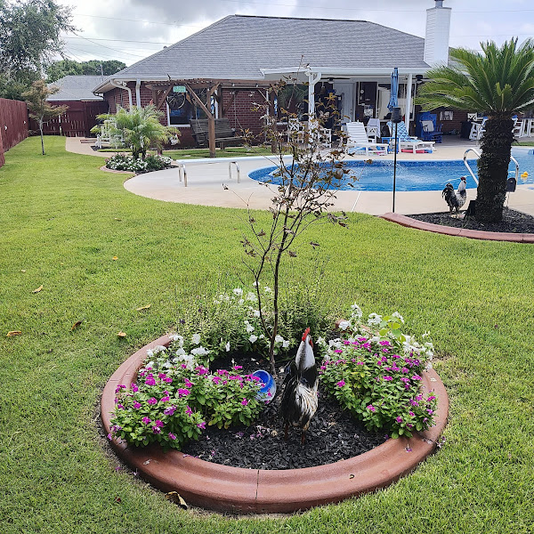 Brock Lawn & Pest Control Inc