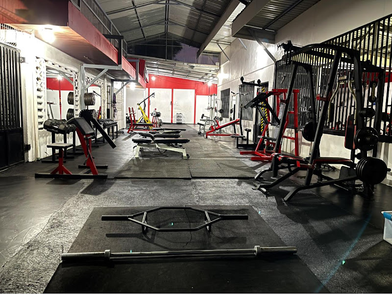 Brandon's Gym
