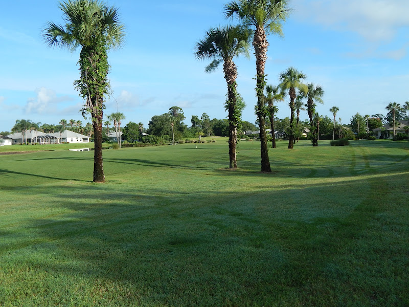 The Preserve At Turnbull Bay - Public golf course in New Smyrna Beach