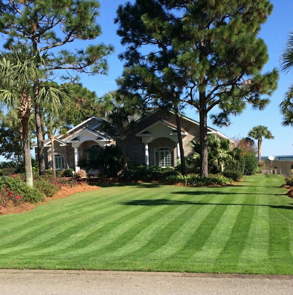 Eco Green Solutions LLC - Landscaper in Santa Rosa Beach