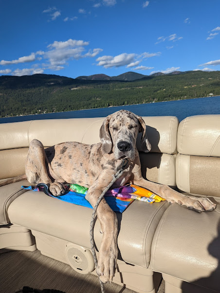 Alpine Animal Hospital