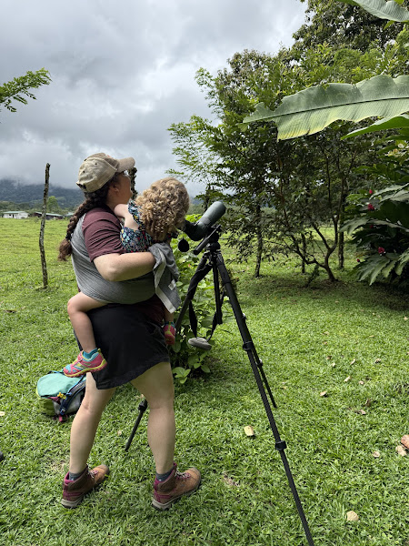 Elias Nature Tours & Wildlife Photography - Photographer in Provincia de Alajuela