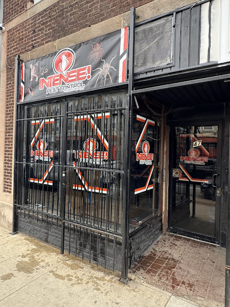 INTENSE! Pest Control - Pest control service in Chicago