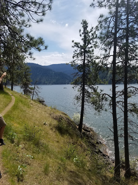 Higgens Point