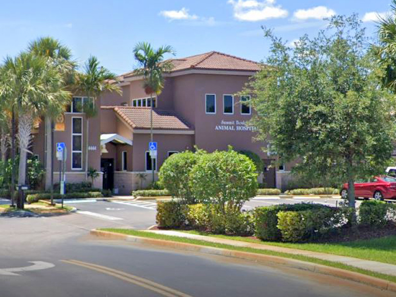 Summit Boulevard Animal Hospital photo