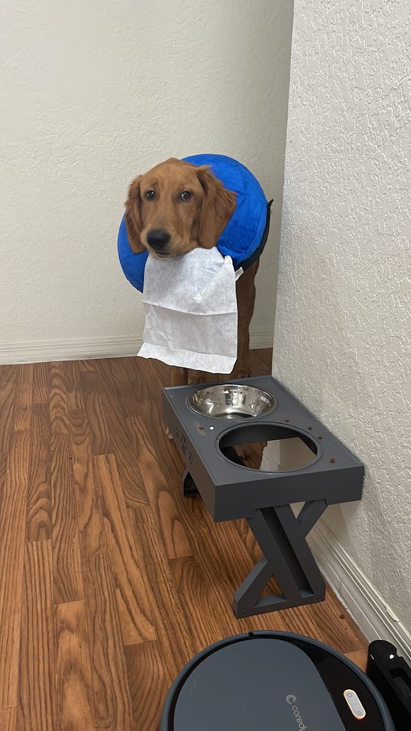 Summit Boulevard Animal Hospital photo