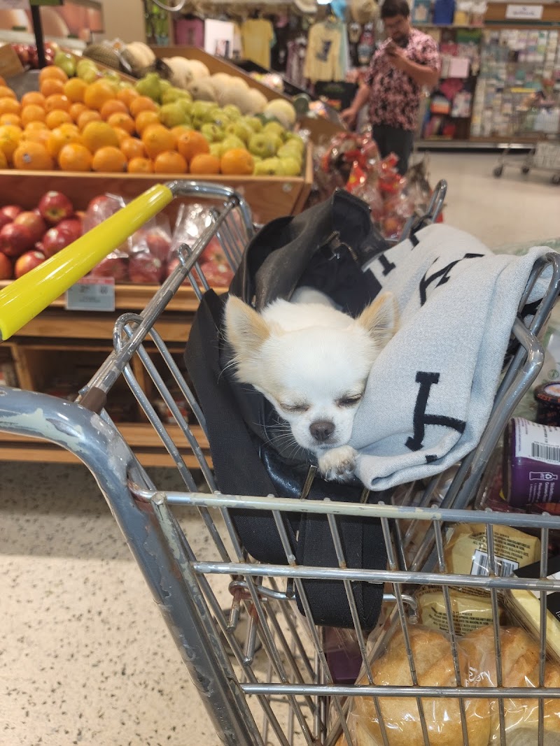 Publix Super Market On the Bay photo