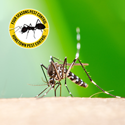 Four Seasons Pest Control