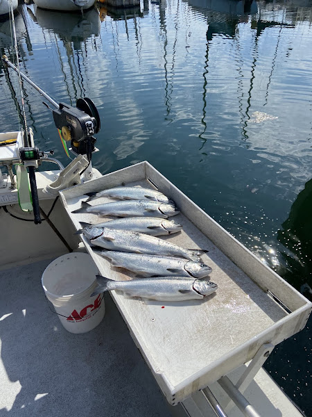 Fish Finders Private Charters - Fishing charter in Seattle