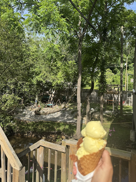 Hilltop Ice Cream Shop-Woodfin - Ice cream shop in Asheville