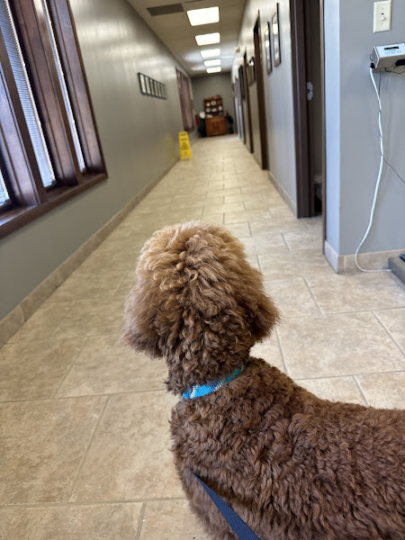 Chattanooga Veterinary Center - Veterinarian in Chattanooga