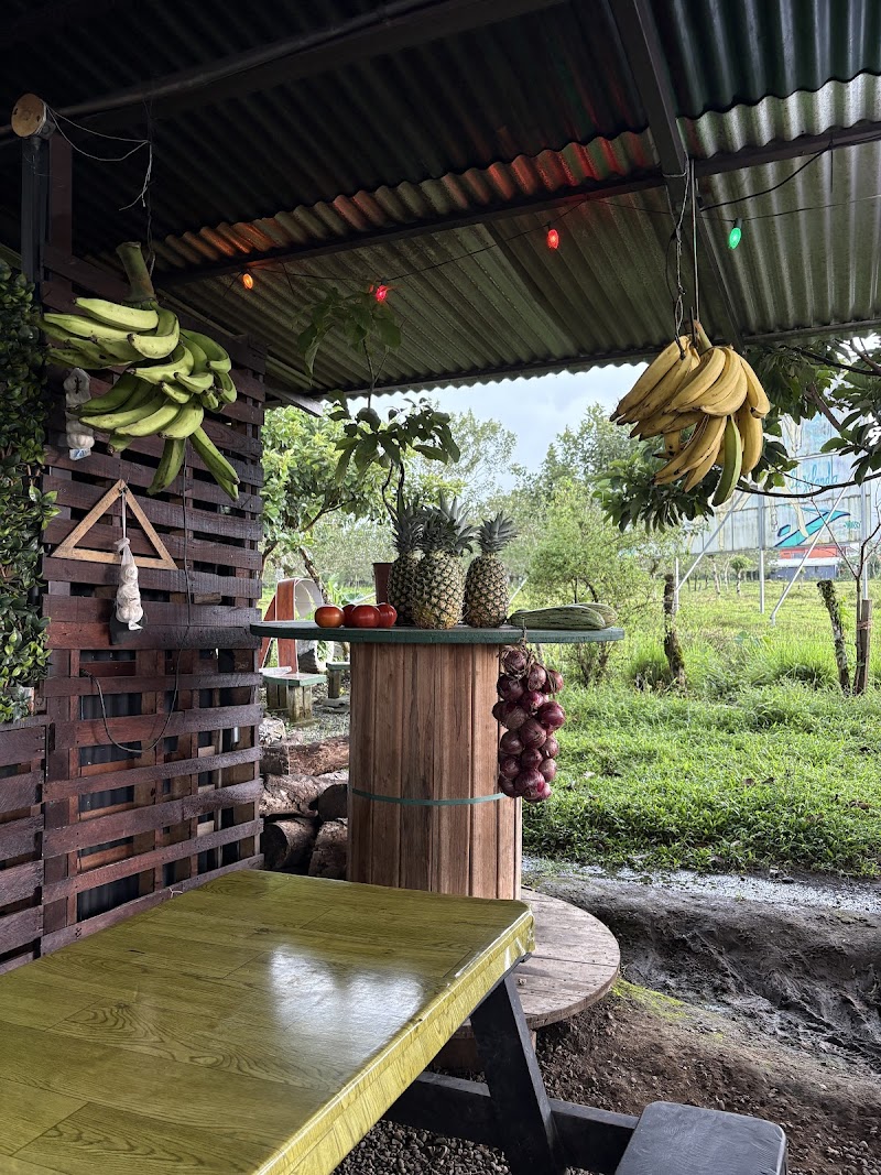 Soda Monkey's Place