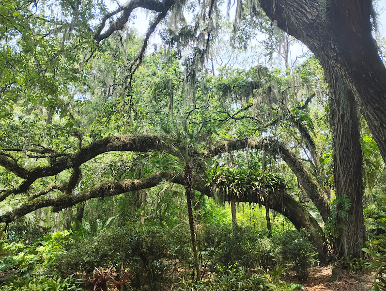 Eureka Springs Park - Tourist attraction in Tampa