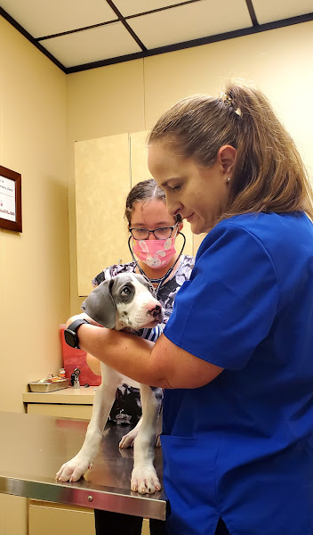 East Dallas Veterinary Clinic