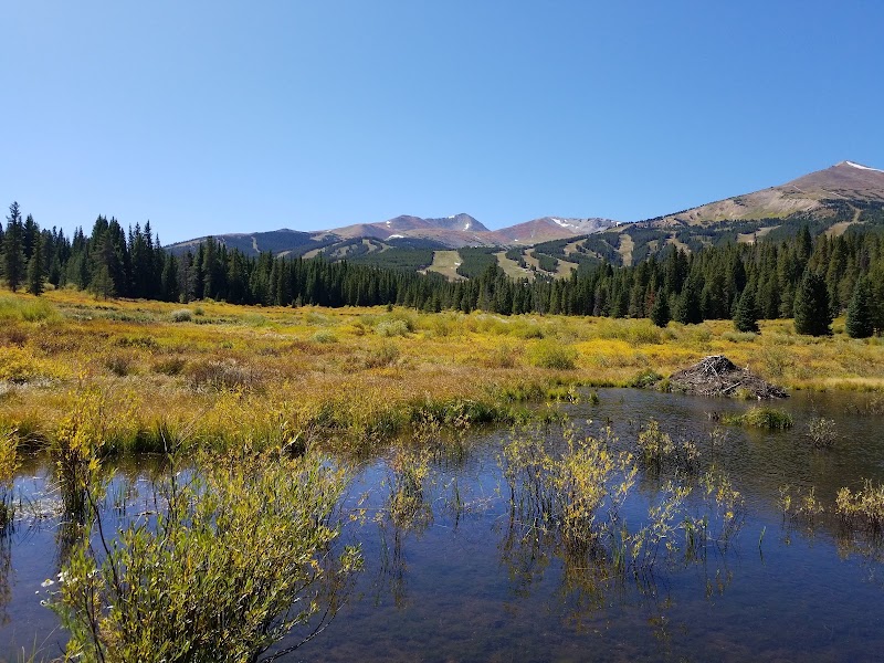 Cucumber Gulch Wildlife Preserve - Tourist attraction in Breckenridge