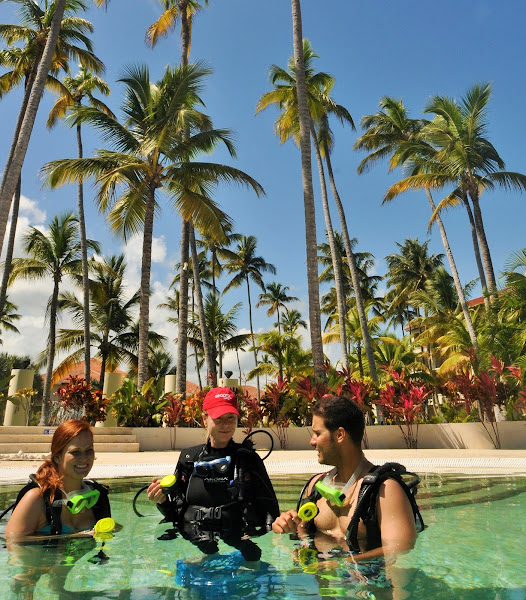 SeaPro Divers Puerto Plata - Boat tour agency in Puerto Plata Dominican Republic