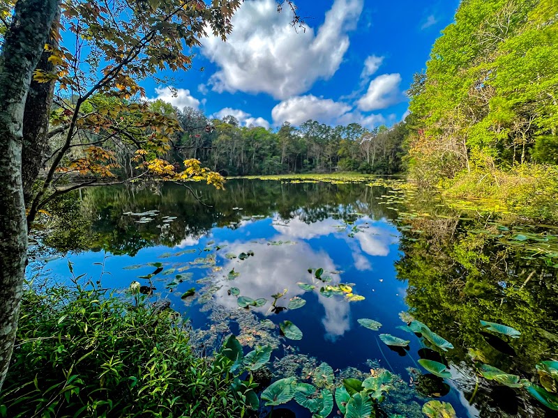 Jacksonville Arboretum & Botanical Gardens photo