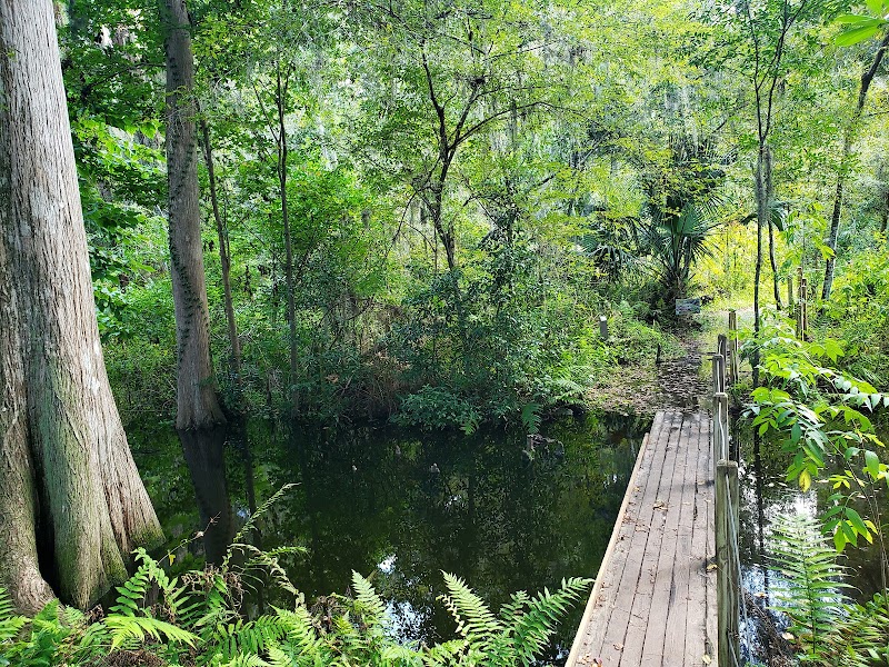 Jacksonville Arboretum & Botanical Gardens photo