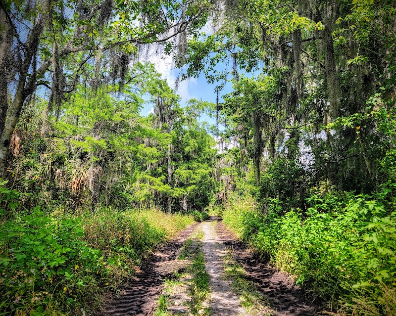 CREW Bird Rookery Swamp Trails photo