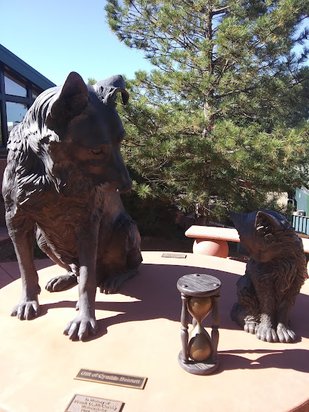 Humane Society of Sedona Inc - Animal protection organization in Sedona