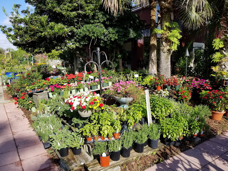 Southern Horticulture