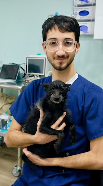 Clematis Animal Clinic