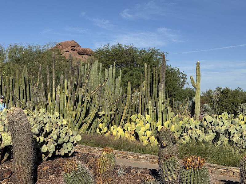 Desert Botanical Garden photo