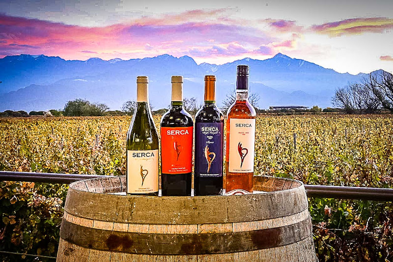 SERCA Wines - Wine club in Houston