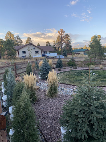 Earthly Elevations - Tree service in Pagosa Springs