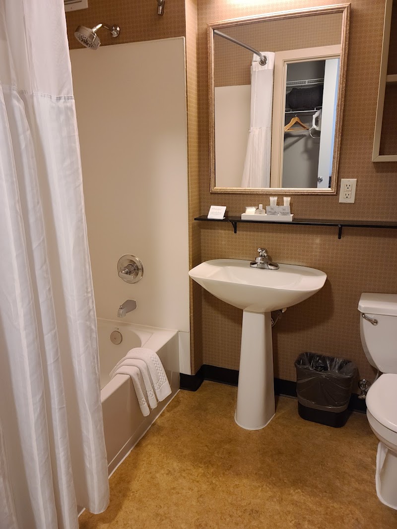 Mediterranean Inn photo