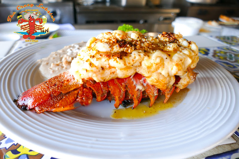 The Crazy Lobster - Bar & grill in Centro