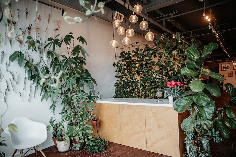 Lavender - Hair salon in Portland
