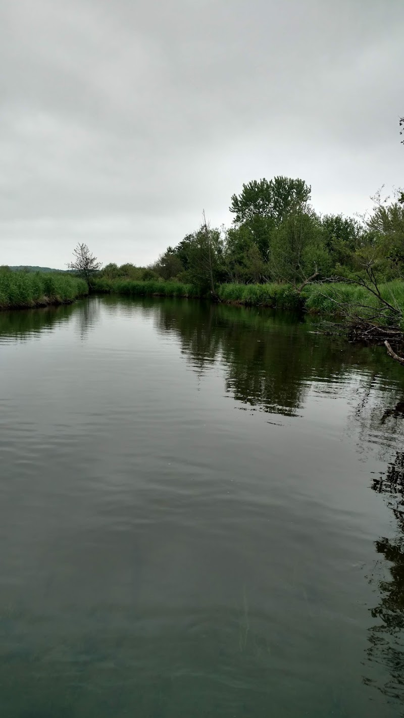 Codie's Kayaking and Canoeing, LLC - Canoe & kayak rental service in Sheridan Springs Road