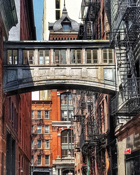 Staple Street Skybridge