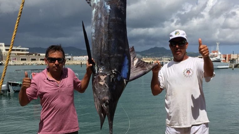 Cabo Sportfishing Crew - Fishing charter in Blvd. Paseo de la Marina 18