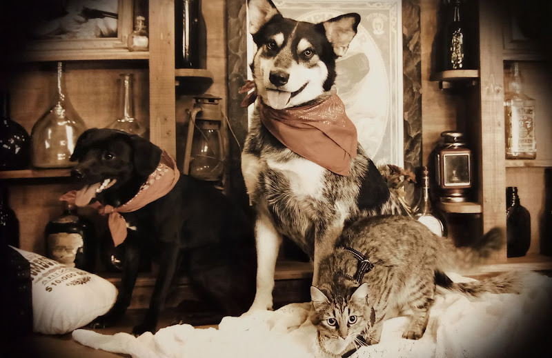 Busters Old Time Photos Galveston Texas