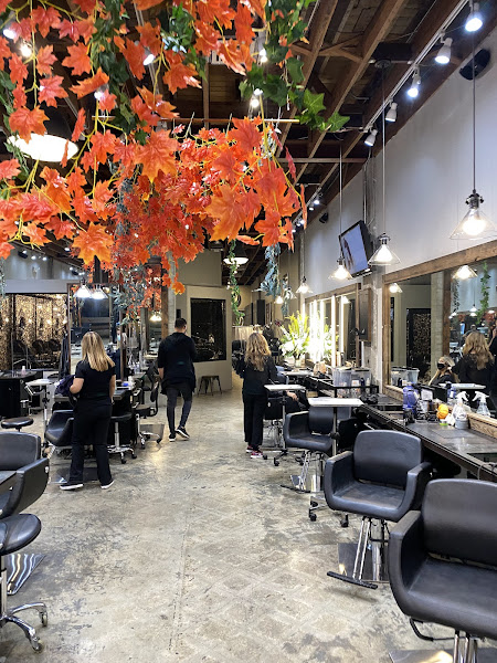 Avant-Garde Salon & Spa