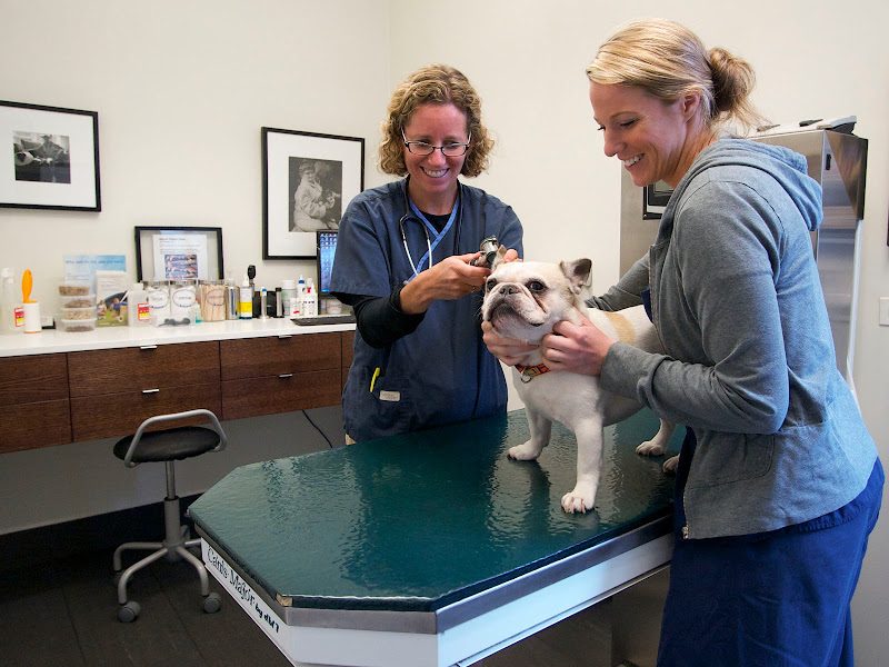 Animal Medical Center of Chicago - Veterinarian in Chicago