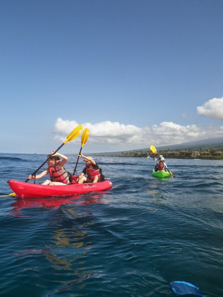 King Kayak Hawaii - Canoe & kayak tour agency in Kailua-Kona