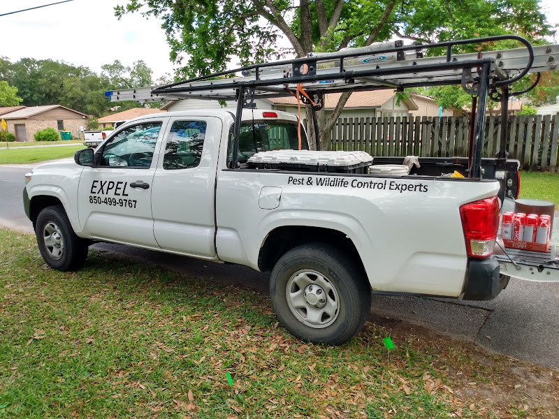 Expel Wildlife of the Panhandle - Pest control service in Destin
