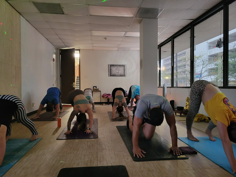 Yoga Shala of Galveston - Yoga studio in Galveston