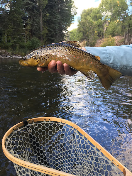 Aspen Outfitting Company - Fishing charter in Aspen