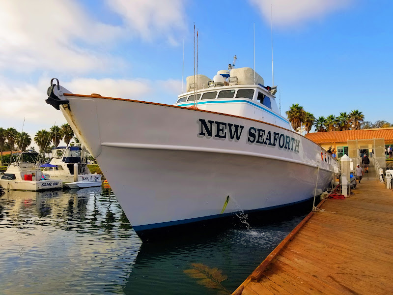 Seaforth Sportfishing