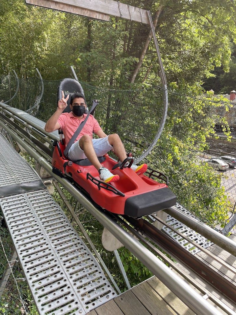 Moonshine Mountain Coaster photo