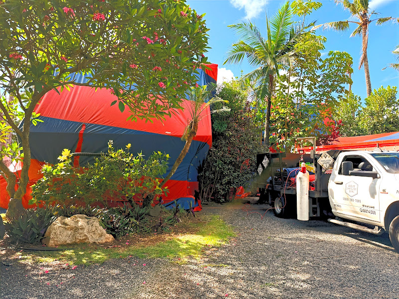 Absolute Termite And Pest Control - Pest control service in Kapolei
