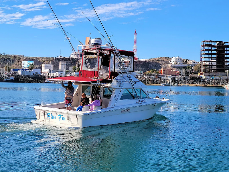 Blue Fin Fishing Charters - Fishing charter in Av. Luis Encinas