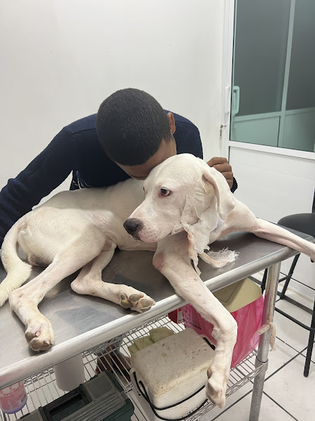 Veterinaria Los Cabos - Veterinarian in Ampliación Juárez