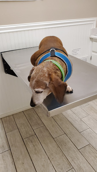 Brentwood Animal Hospital