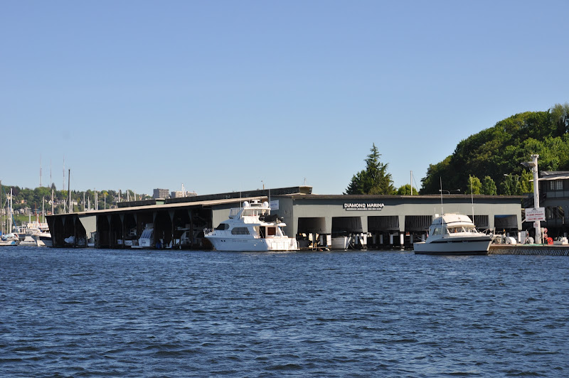 Diamond Marina